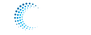 vector it systems logo white 1
